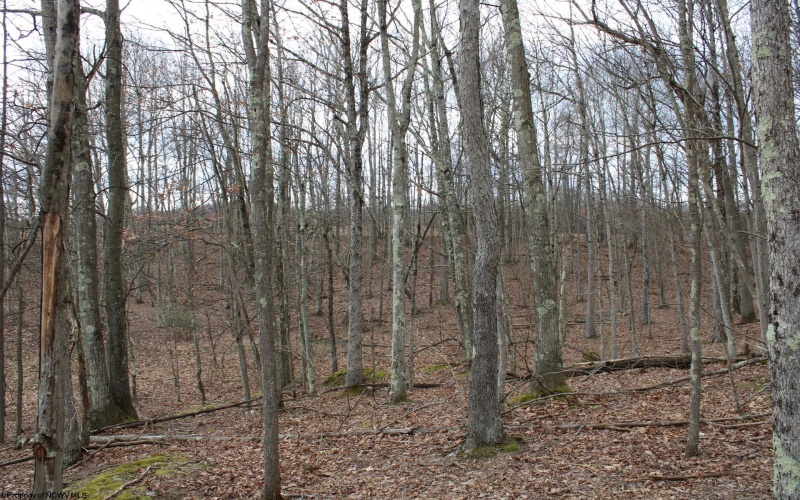 Lot 7 Cascade Ridge, Masontown, West Virginia 26542, ,Lots/land,For Sale,Cascade,10162412