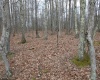 Lot 7 Cascade Ridge, Masontown, West Virginia 26542, ,Lots/land,For Sale,Cascade,10162412