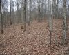 Lot 7 Cascade Ridge, Masontown, West Virginia 26542, ,Lots/land,For Sale,Cascade,10162412
