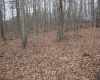 Lot 7 Cascade Ridge, Masontown, West Virginia 26542, ,Lots/land,For Sale,Cascade,10162412