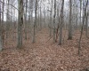 Lot 7 Cascade Ridge, Masontown, West Virginia 26542, ,Lots/land,For Sale,Cascade,10162412