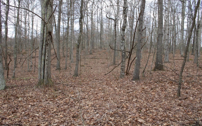 Lot 7 Cascade Ridge, Masontown, West Virginia 26542, ,Lots/land,For Sale,Cascade,10162412