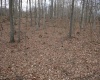 Lot 7 Cascade Ridge, Masontown, West Virginia 26542, ,Lots/land,For Sale,Cascade,10162412