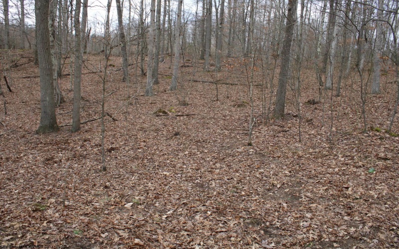 Lot 7 Cascade Ridge, Masontown, West Virginia 26542, ,Lots/land,For Sale,Cascade,10162412
