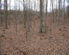 Lot 7 Cascade Ridge, Masontown, West Virginia 26542, ,Lots/land,For Sale,Cascade,10162412