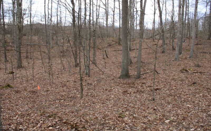 Lot 7 Cascade Ridge, Masontown, West Virginia 26542, ,Lots/land,For Sale,Cascade,10162412