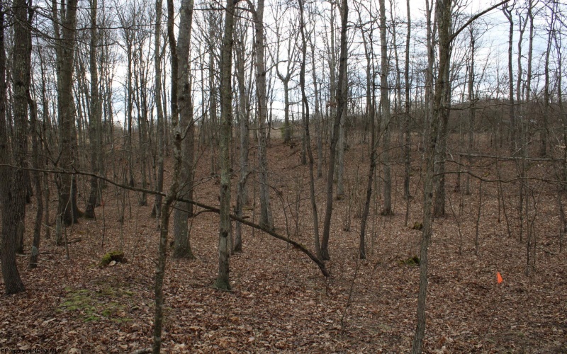 Lot 7 Cascade Ridge, Masontown, West Virginia 26542, ,Lots/land,For Sale,Cascade,10162412