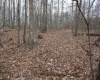 Lot 7 Cascade Ridge, Masontown, West Virginia 26542, ,Lots/land,For Sale,Cascade,10162412