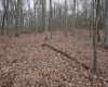 Lot 7 Cascade Ridge, Masontown, West Virginia 26542, ,Lots/land,For Sale,Cascade,10162412