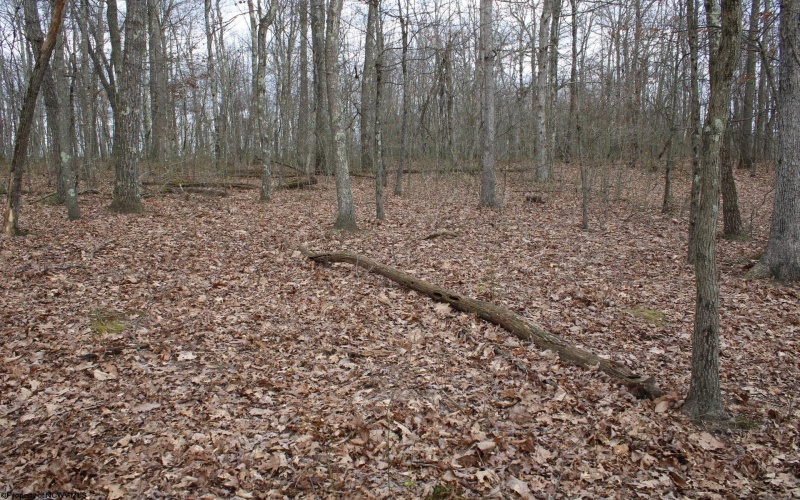 Lot 7 Cascade Ridge, Masontown, West Virginia 26542, ,Lots/land,For Sale,Cascade,10162412