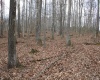 Lot 7 Cascade Ridge, Masontown, West Virginia 26542, ,Lots/land,For Sale,Cascade,10162412