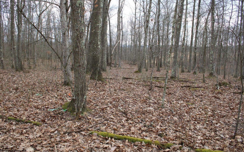 Lot 7 Cascade Ridge, Masontown, West Virginia 26542, ,Lots/land,For Sale,Cascade,10162412