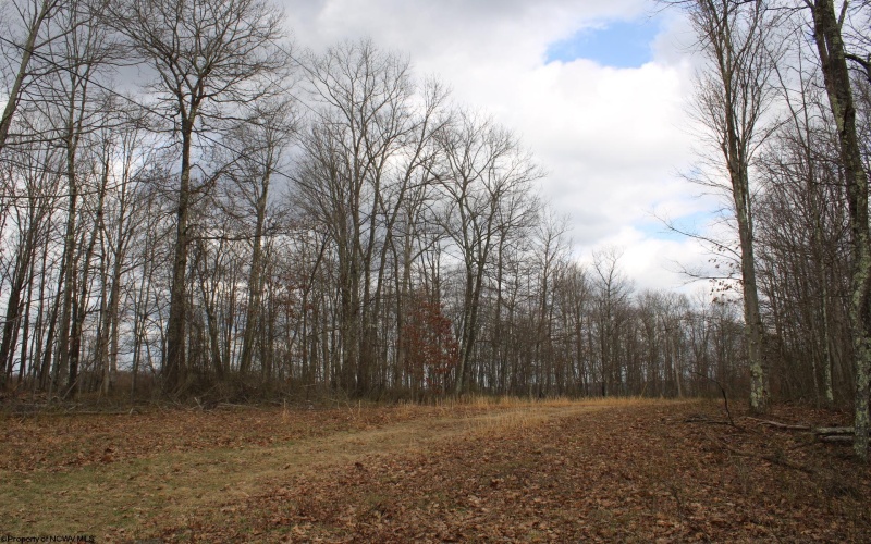 Lot 7 Cascade Ridge, Masontown, West Virginia 26542, ,Lots/land,For Sale,Cascade,10162412