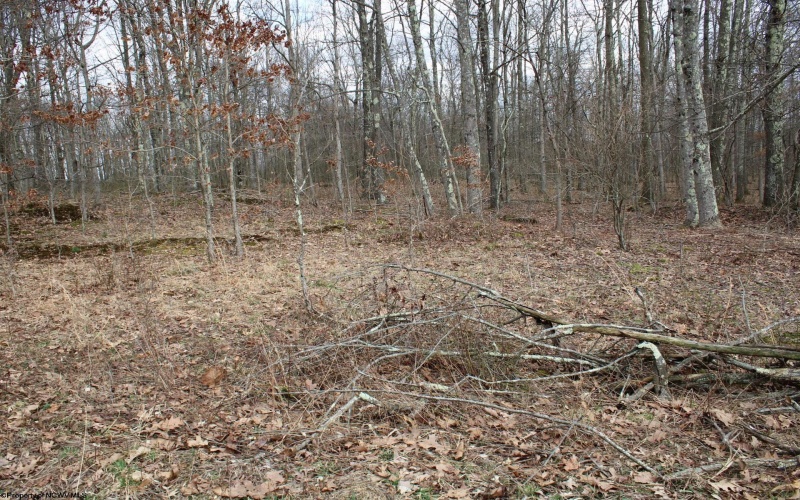 Lot 7 Cascade Ridge, Masontown, West Virginia 26542, ,Lots/land,For Sale,Cascade,10162412