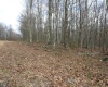 Lot 7 Cascade Ridge, Masontown, West Virginia 26542, ,Lots/land,For Sale,Cascade,10162412