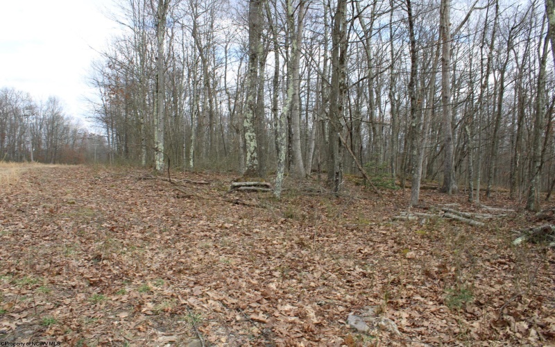 Lot 7 Cascade Ridge, Masontown, West Virginia 26542, ,Lots/land,For Sale,Cascade,10162412