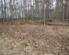 Lot 7 Cascade Ridge, Masontown, West Virginia 26542, ,Lots/land,For Sale,Cascade,10162412