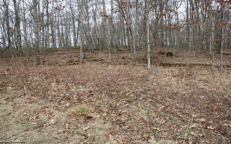 Lot 7 Cascade Ridge, Masontown, West Virginia 26542, ,Lots/land,For Sale,Cascade,10162412