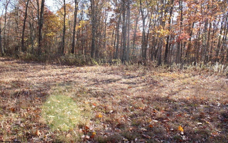 Lot 7 Cascade Ridge, Masontown, West Virginia 26542, ,Lots/land,For Sale,Cascade,10162412