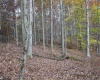 Lot 7 Cascade Ridge, Masontown, West Virginia 26542, ,Lots/land,For Sale,Cascade,10162412