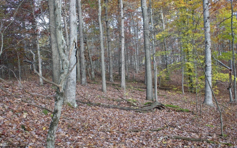Lot 7 Cascade Ridge, Masontown, West Virginia 26542, ,Lots/land,For Sale,Cascade,10162412