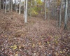 Lot 7 Cascade Ridge, Masontown, West Virginia 26542, ,Lots/land,For Sale,Cascade,10162412