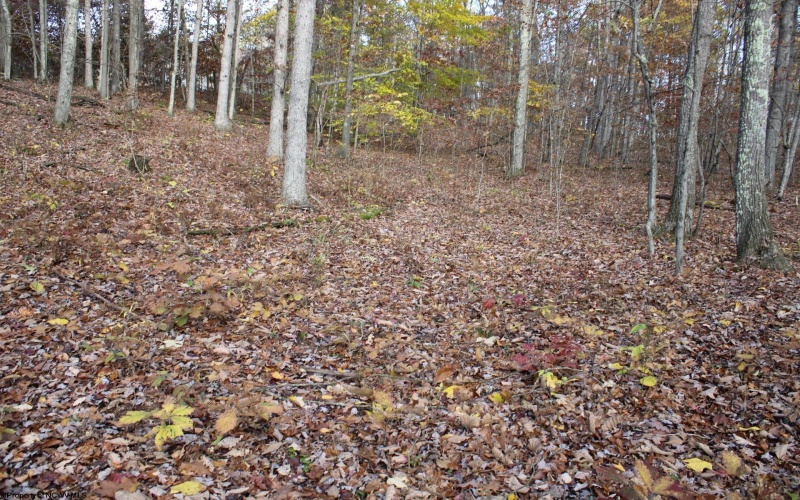 Lot 7 Cascade Ridge, Masontown, West Virginia 26542, ,Lots/land,For Sale,Cascade,10162412
