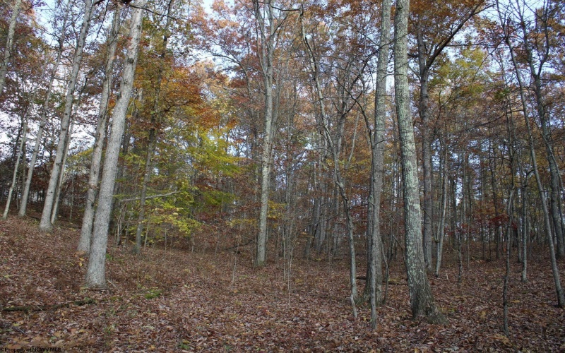 Lot 7 Cascade Ridge, Masontown, West Virginia 26542, ,Lots/land,For Sale,Cascade,10162412