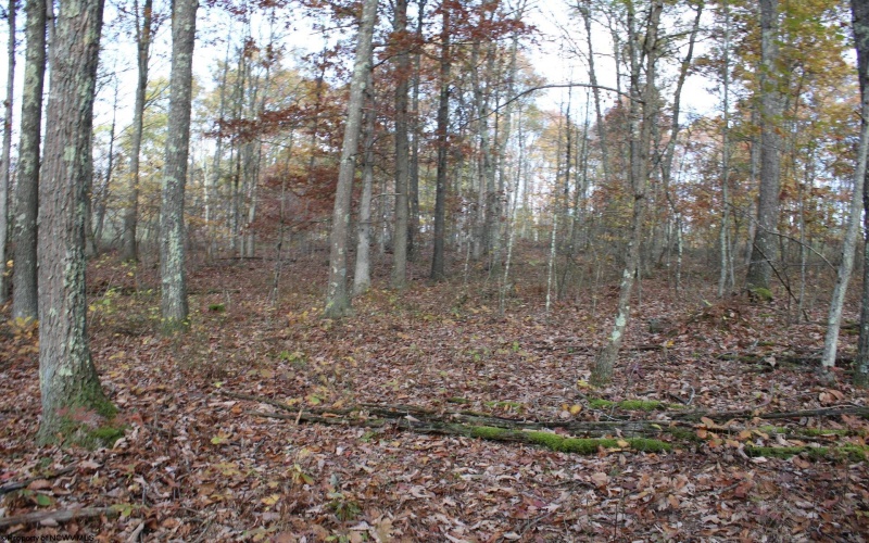 Lot 7 Cascade Ridge, Masontown, West Virginia 26542, ,Lots/land,For Sale,Cascade,10162412