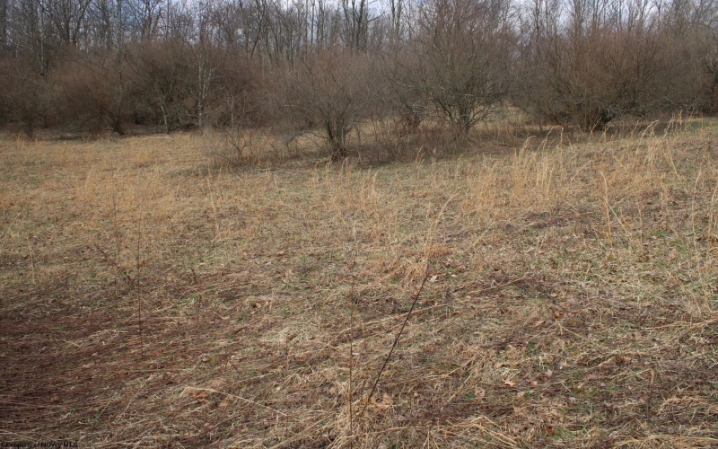 Lot 8 Cascade Ridge, Masontown, West Virginia 26542, ,Lots/land,For Sale,Cascade,10162413