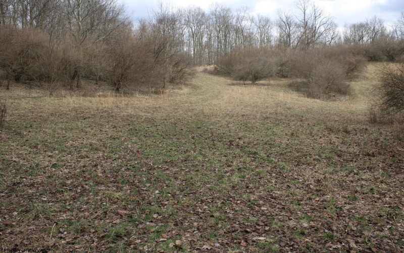 Lot 8 Cascade Ridge, Masontown, West Virginia 26542, ,Lots/land,For Sale,Cascade,10162413