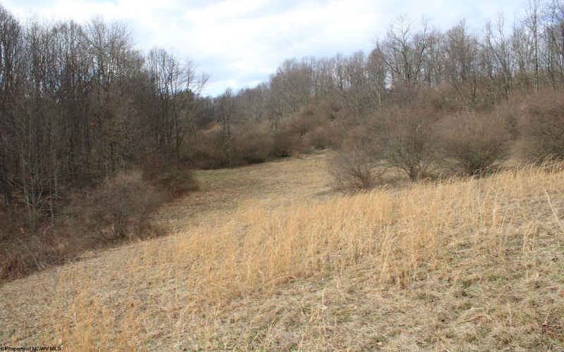 Lot 8 Cascade Ridge, Masontown, West Virginia 26542, ,Lots/land,For Sale,Cascade,10162413