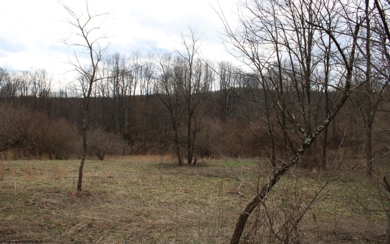 Lot 8 Cascade Ridge, Masontown, West Virginia 26542, ,Lots/land,For Sale,Cascade,10162413