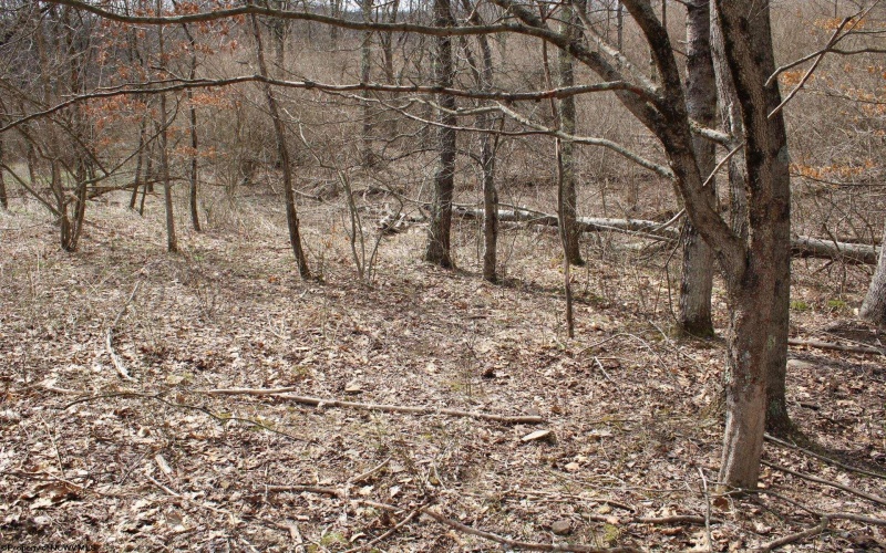 Lot 8 Cascade Ridge, Masontown, West Virginia 26542, ,Lots/land,For Sale,Cascade,10162413