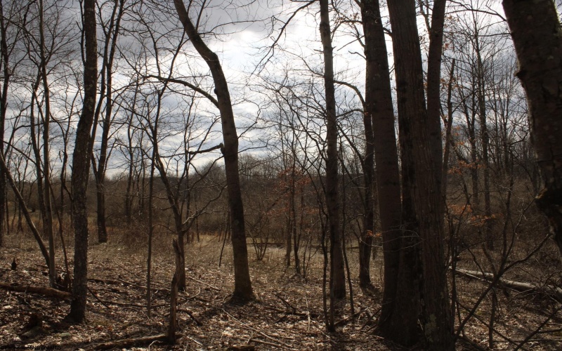 Lot 8 Cascade Ridge, Masontown, West Virginia 26542, ,Lots/land,For Sale,Cascade,10162413