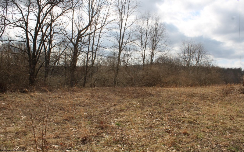 Lot 8 Cascade Ridge, Masontown, West Virginia 26542, ,Lots/land,For Sale,Cascade,10162413