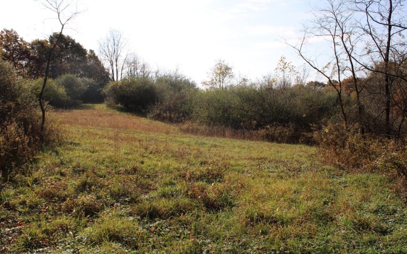 Lot 8 Cascade Ridge, Masontown, West Virginia 26542, ,Lots/land,For Sale,Cascade,10162413