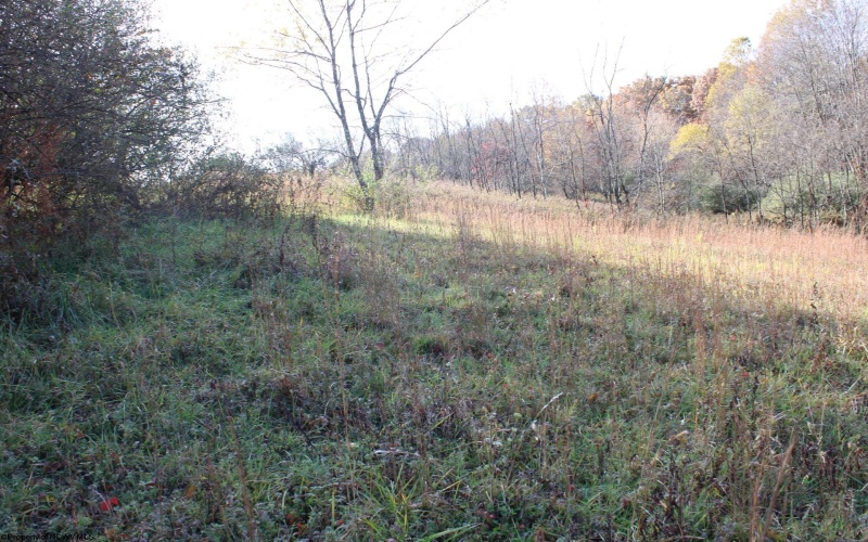 Lot 8 Cascade Ridge, Masontown, West Virginia 26542, ,Lots/land,For Sale,Cascade,10162413