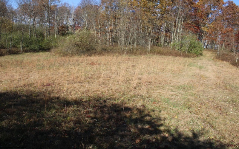 Lot 8 Cascade Ridge, Masontown, West Virginia 26542, ,Lots/land,For Sale,Cascade,10162413