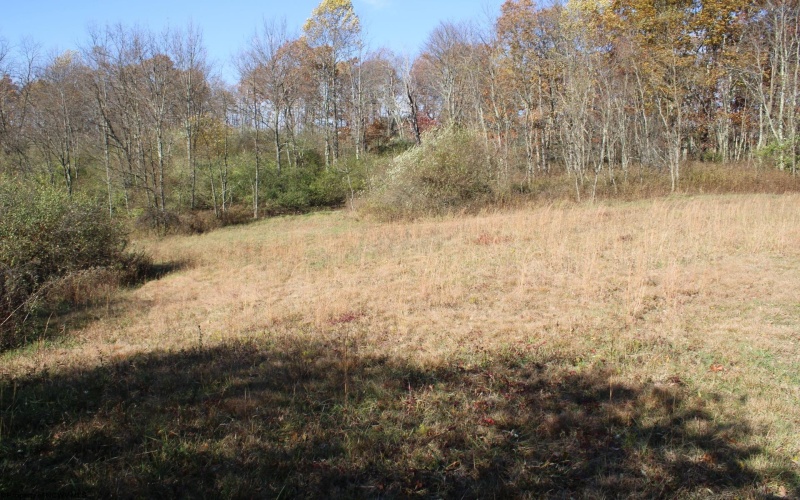 Lot 8 Cascade Ridge, Masontown, West Virginia 26542, ,Lots/land,For Sale,Cascade,10162413