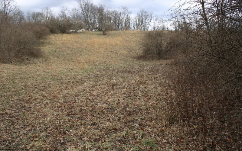 Lot 8 Cascade Ridge, Masontown, West Virginia 26542, ,Lots/land,For Sale,Cascade,10162413