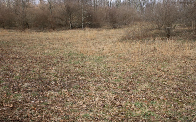 Lot 8 Cascade Ridge, Masontown, West Virginia 26542, ,Lots/land,For Sale,Cascade,10162413