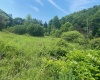 TBD Grass Lick Run, Montrose, West Virginia 26283, ,Lots/land,For Sale,Grass Lick,10163681