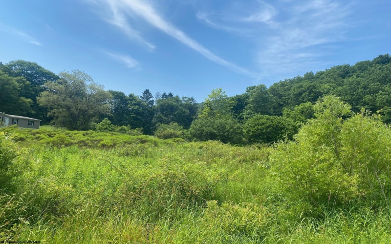 TBD Grass Lick Run, Montrose, West Virginia 26283, ,Lots/land,For Sale,Grass Lick,10163681