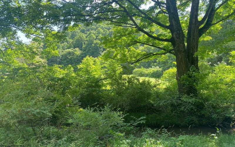 TBD Grass Lick Run, Montrose, West Virginia 26283, ,Lots/land,For Sale,Grass Lick,10163681