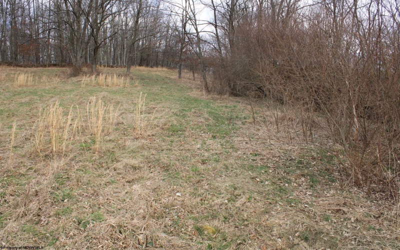 Lot 11 Cascade Ridge, Masontown, West Virginia 26542, ,Lots/land,For Sale,Cascade,10163694