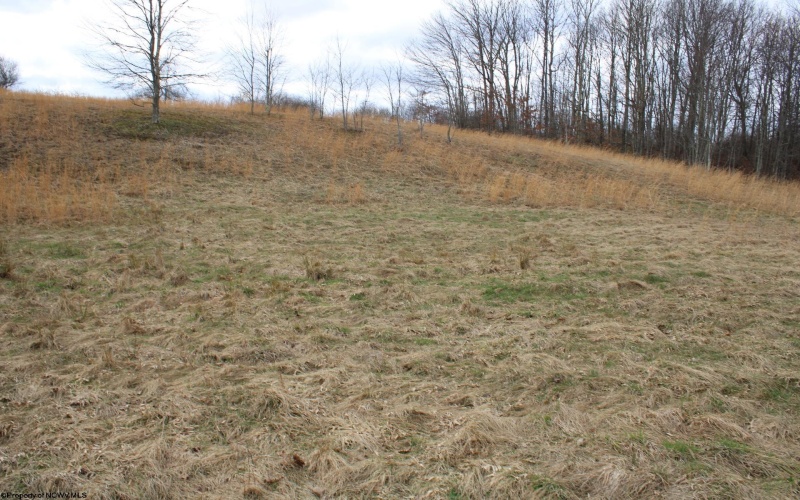 Lot 11 Cascade Ridge, Masontown, West Virginia 26542, ,Lots/land,For Sale,Cascade,10163694