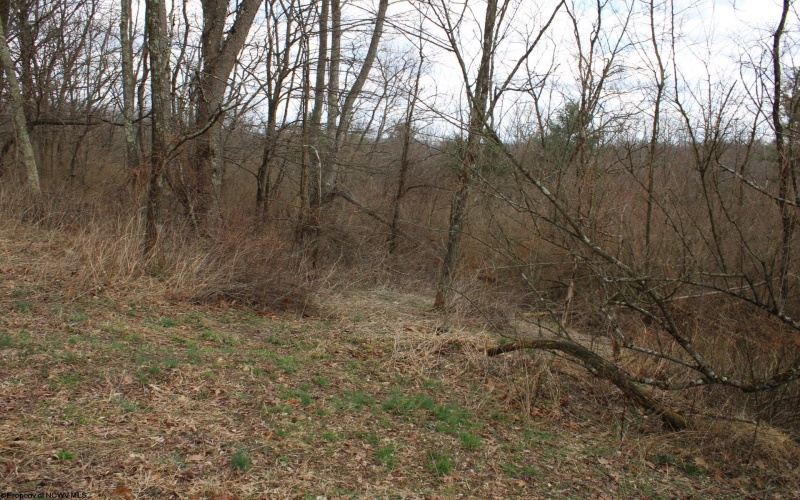 Lot 11 Cascade Ridge, Masontown, West Virginia 26542, ,Lots/land,For Sale,Cascade,10163694