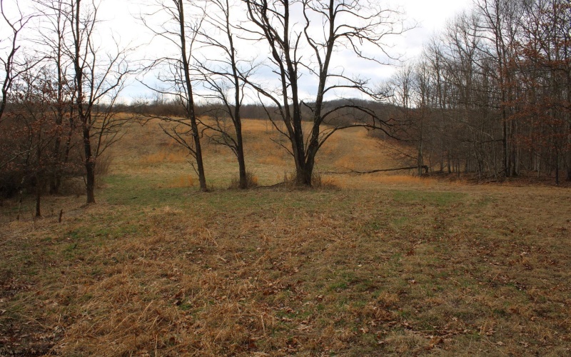 Lot 11 Cascade Ridge, Masontown, West Virginia 26542, ,Lots/land,For Sale,Cascade,10163694