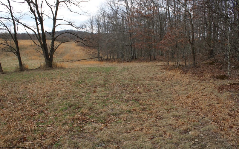 Lot 11 Cascade Ridge, Masontown, West Virginia 26542, ,Lots/land,For Sale,Cascade,10163694